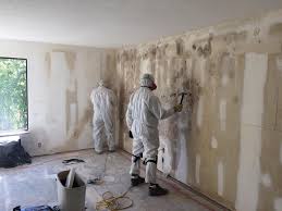 Best Post-Construction Mold Inspection  in Wagner, SD